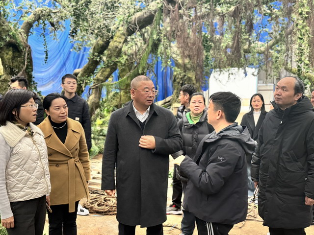 dongyang2.jpg