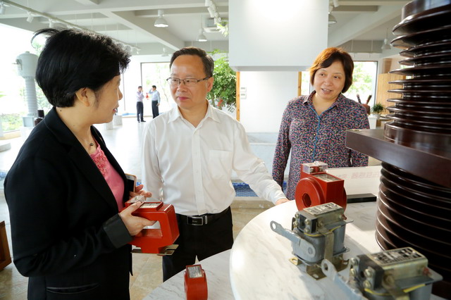 陳小平主委赴江山走訪民建會(huì)員企業(yè)