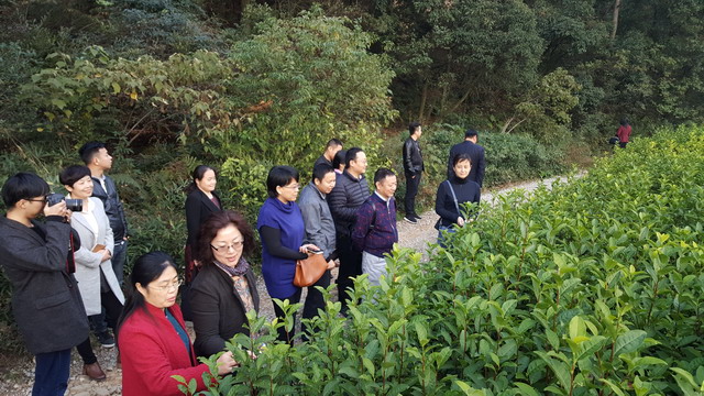 科教文衛(wèi)委員會(huì)在長(zhǎng)興開(kāi)展調(diào)研活動(dòng)