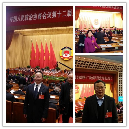 全國“兩會”勝利閉幕 我省民建代表委員精彩履職