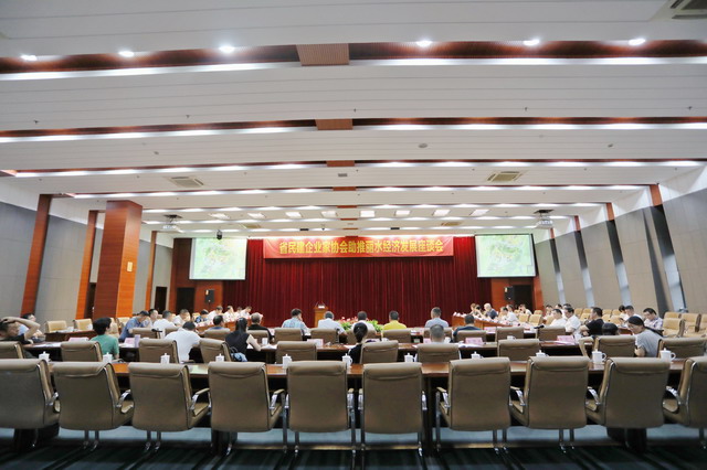 省民建企業家協會助推麗水經濟發展座談會在麗水舉行